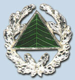 Träger der Silbernen Ehrennadel des Verbandes