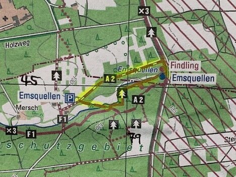 1) Naturwanderung Moosheide / Emsquellen